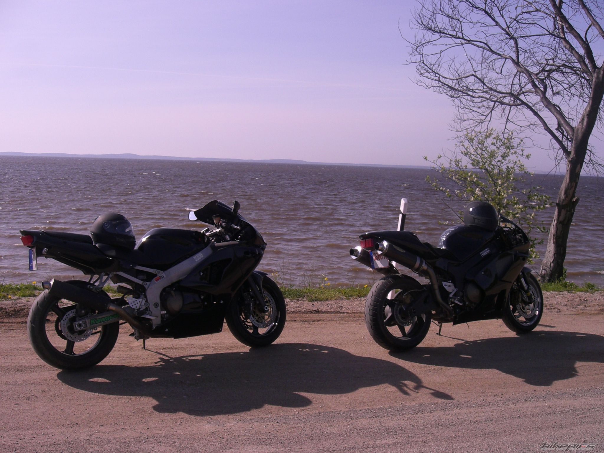 Bike Photo 1279554