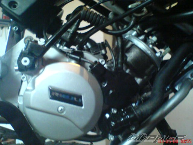 Photo 1279559
