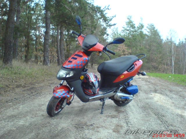 Photo 1279565
