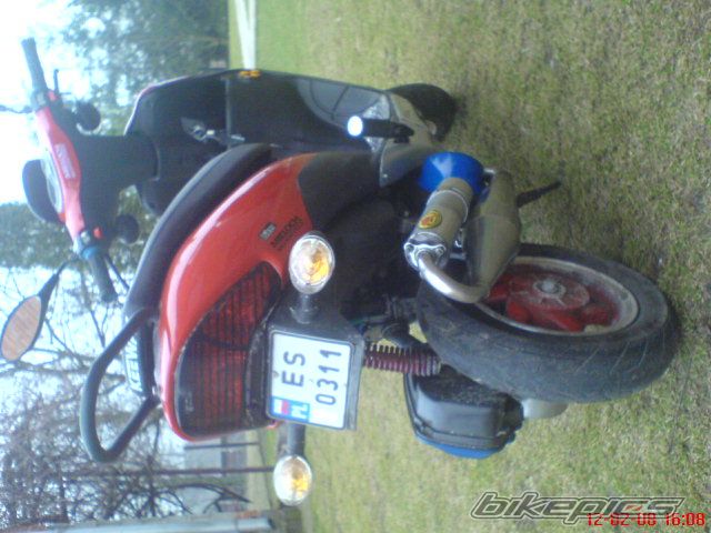 Photo 1279569