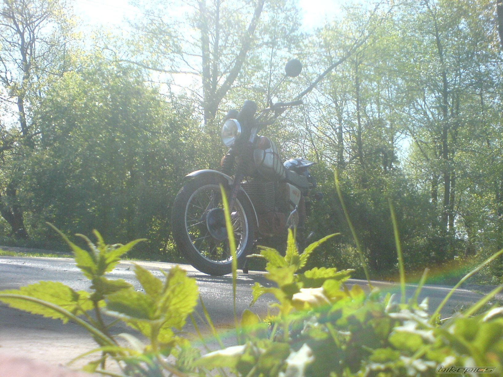 Photo 1279602