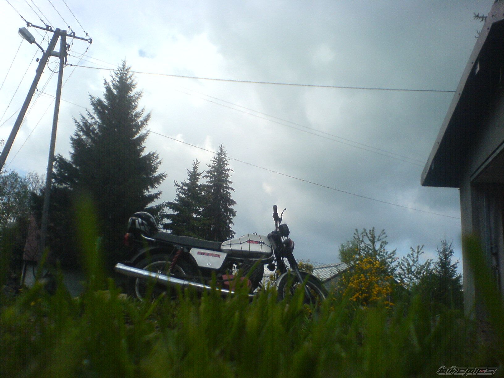 Photo 1279603