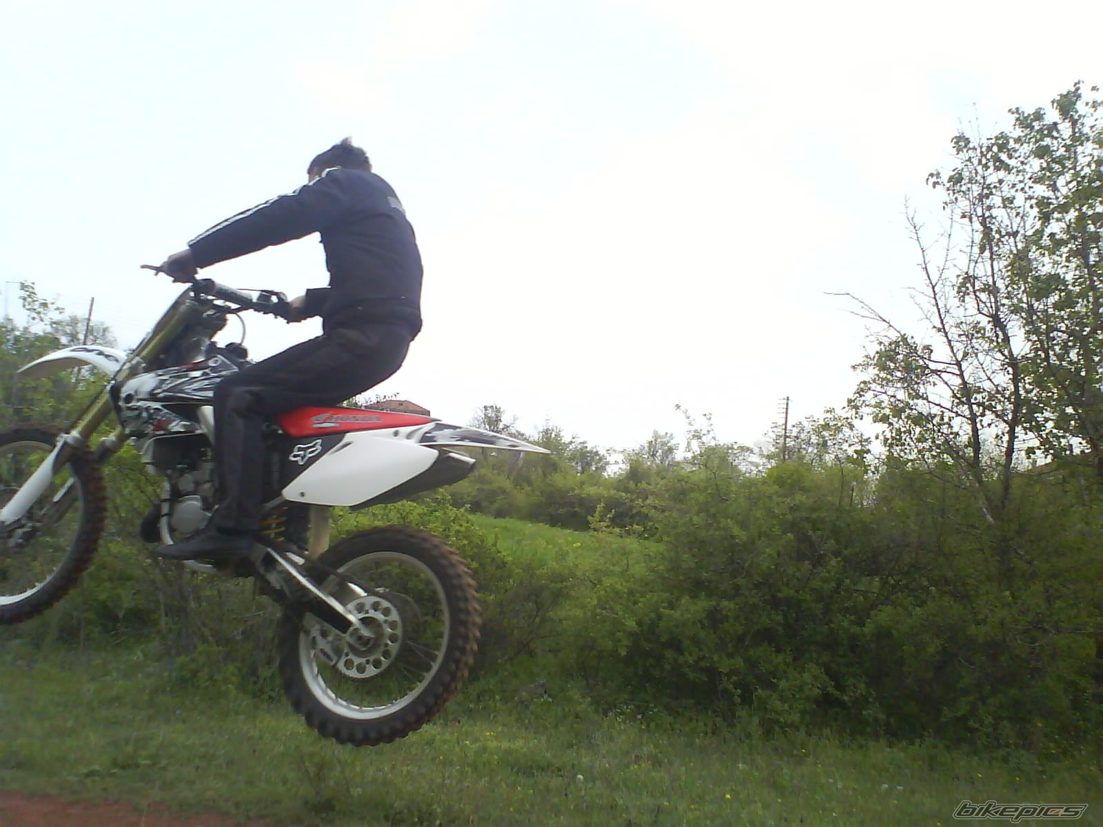 Photo 1279662