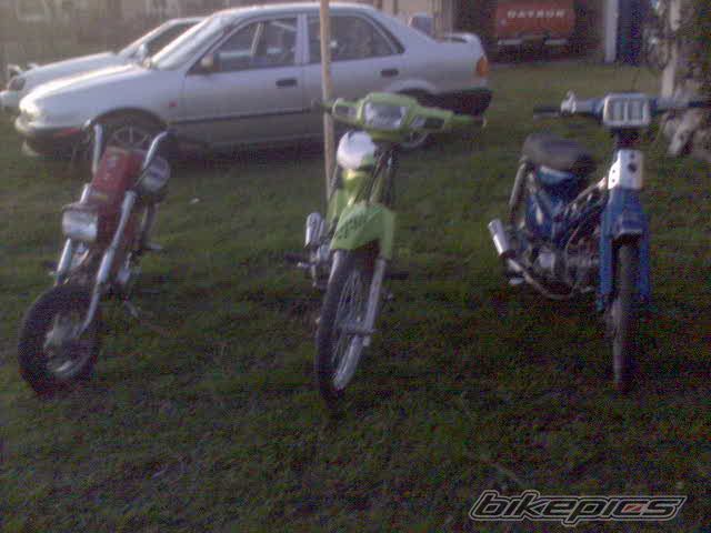 Photo 1279668