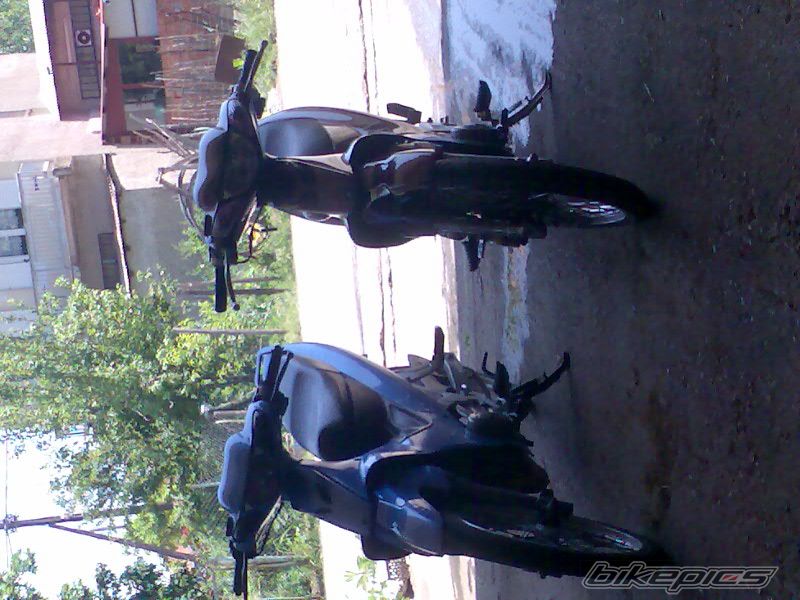 Photo 1279705