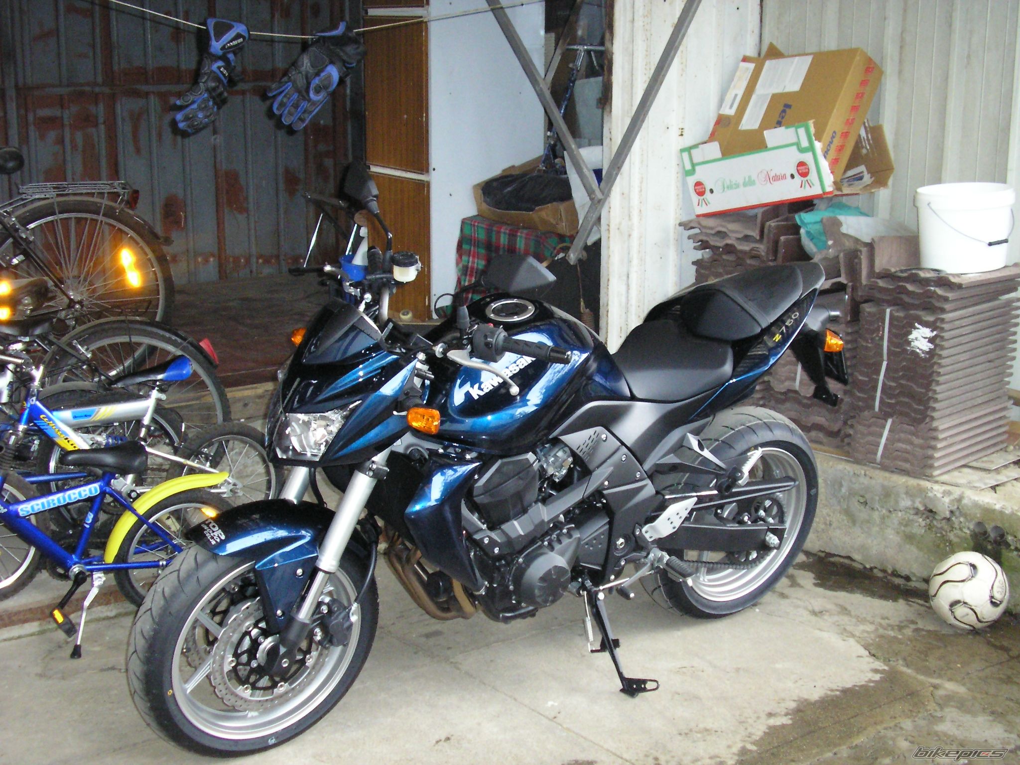 Photo 1279750