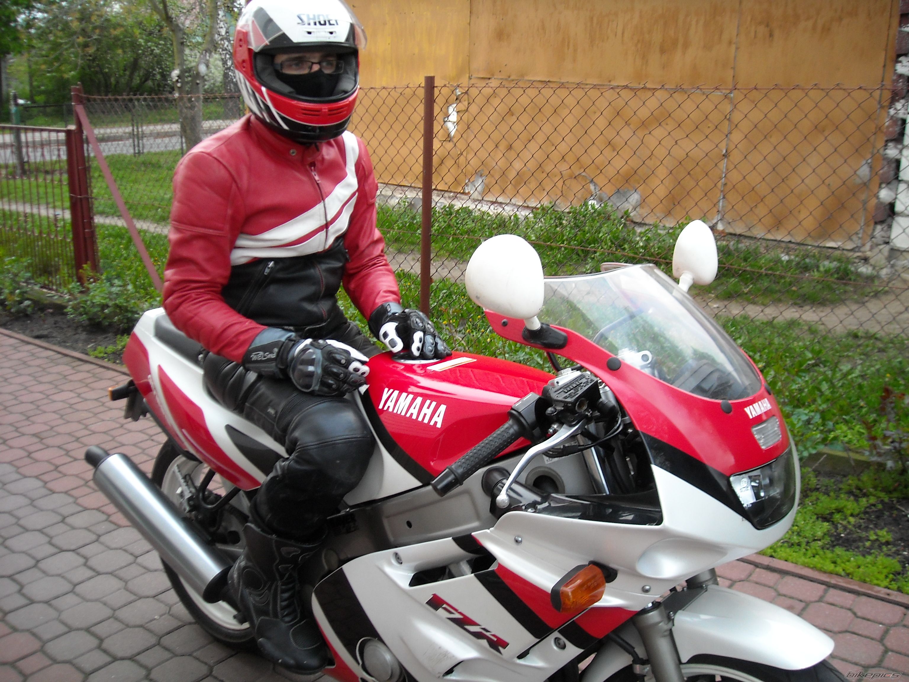 Photo 1279784