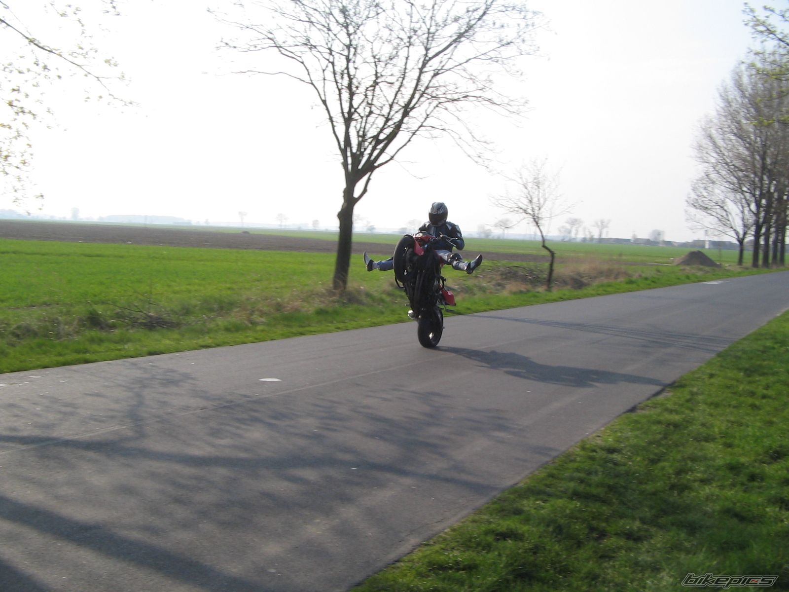 Photo 1279790