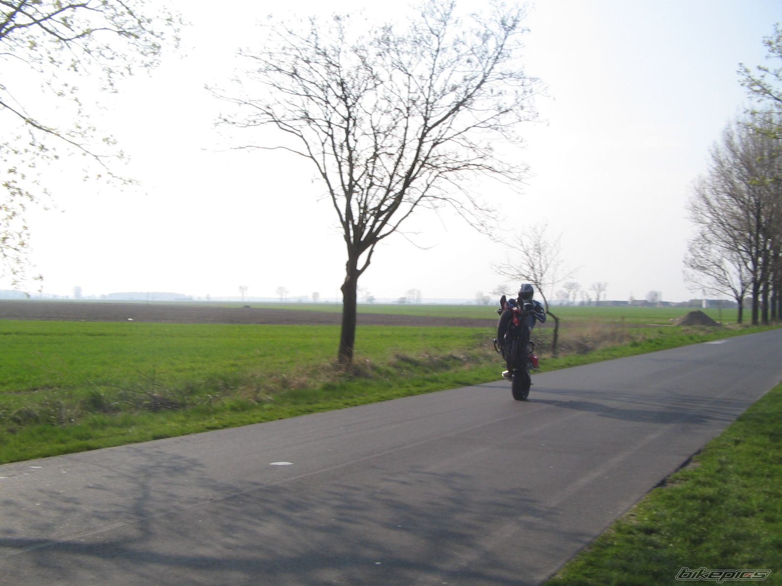 Photo 1279796