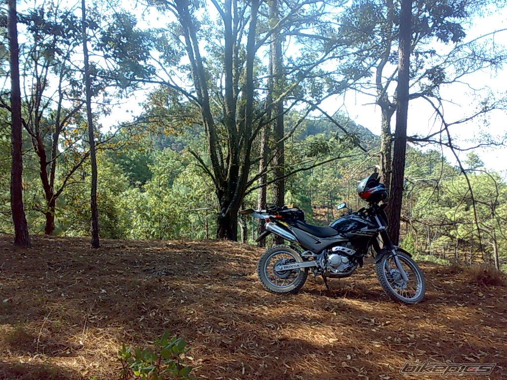 Photo 1279798