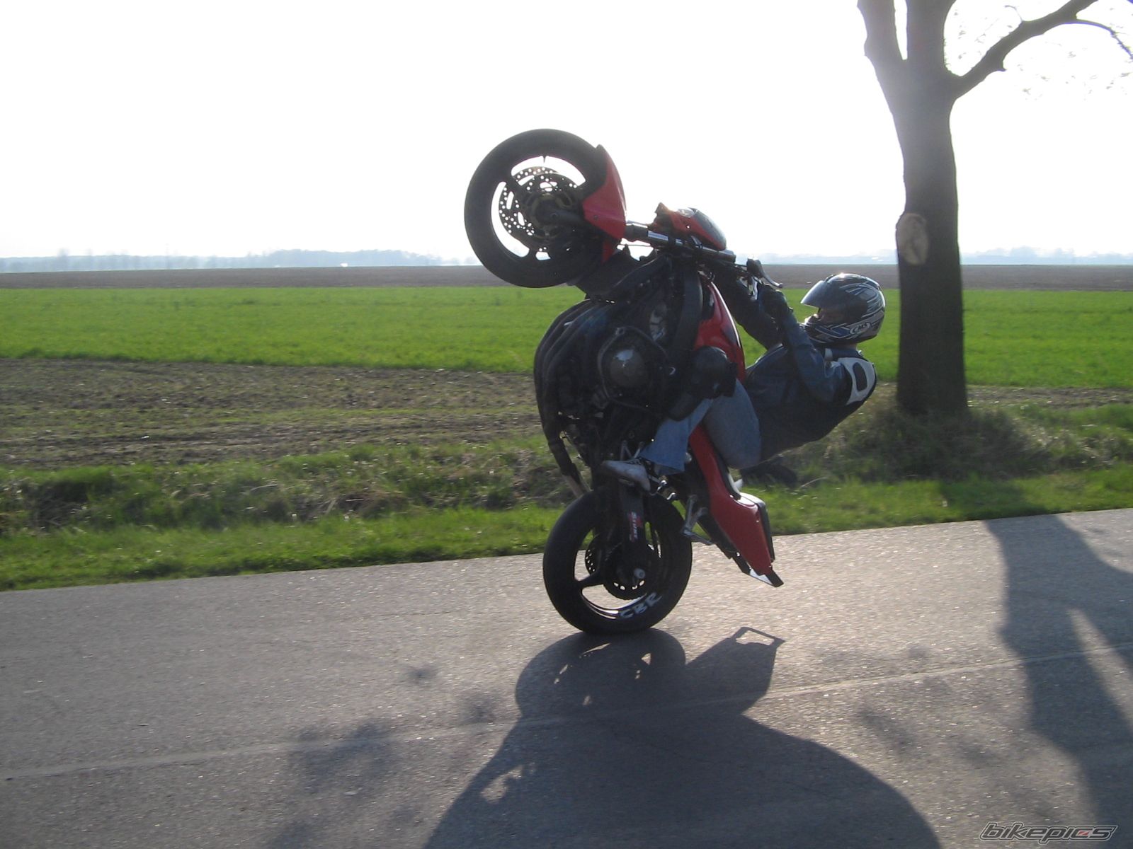 Photo 1279801