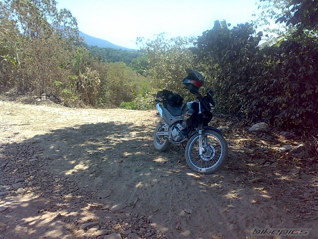Photo 1279802