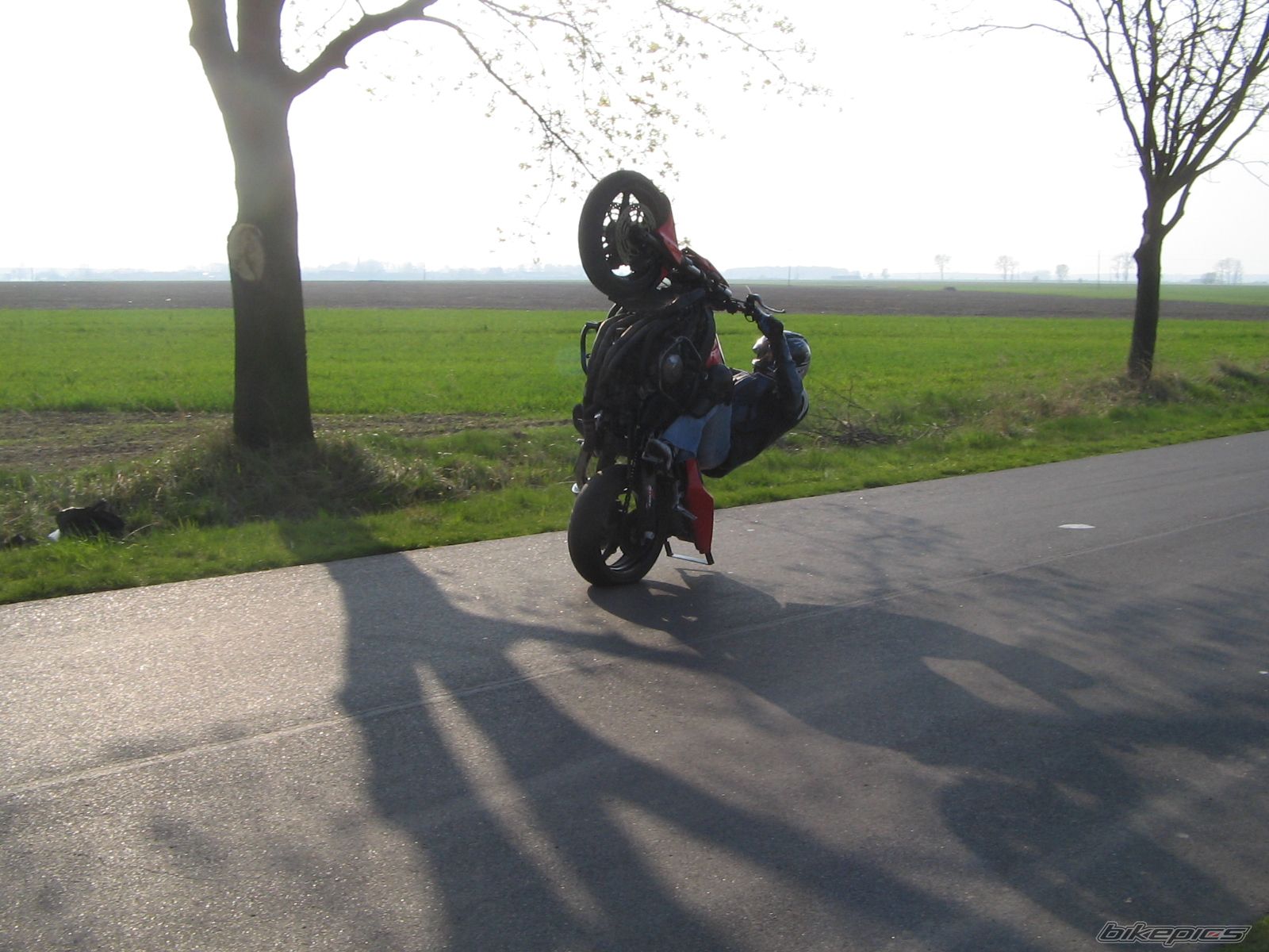 Photo 1279810