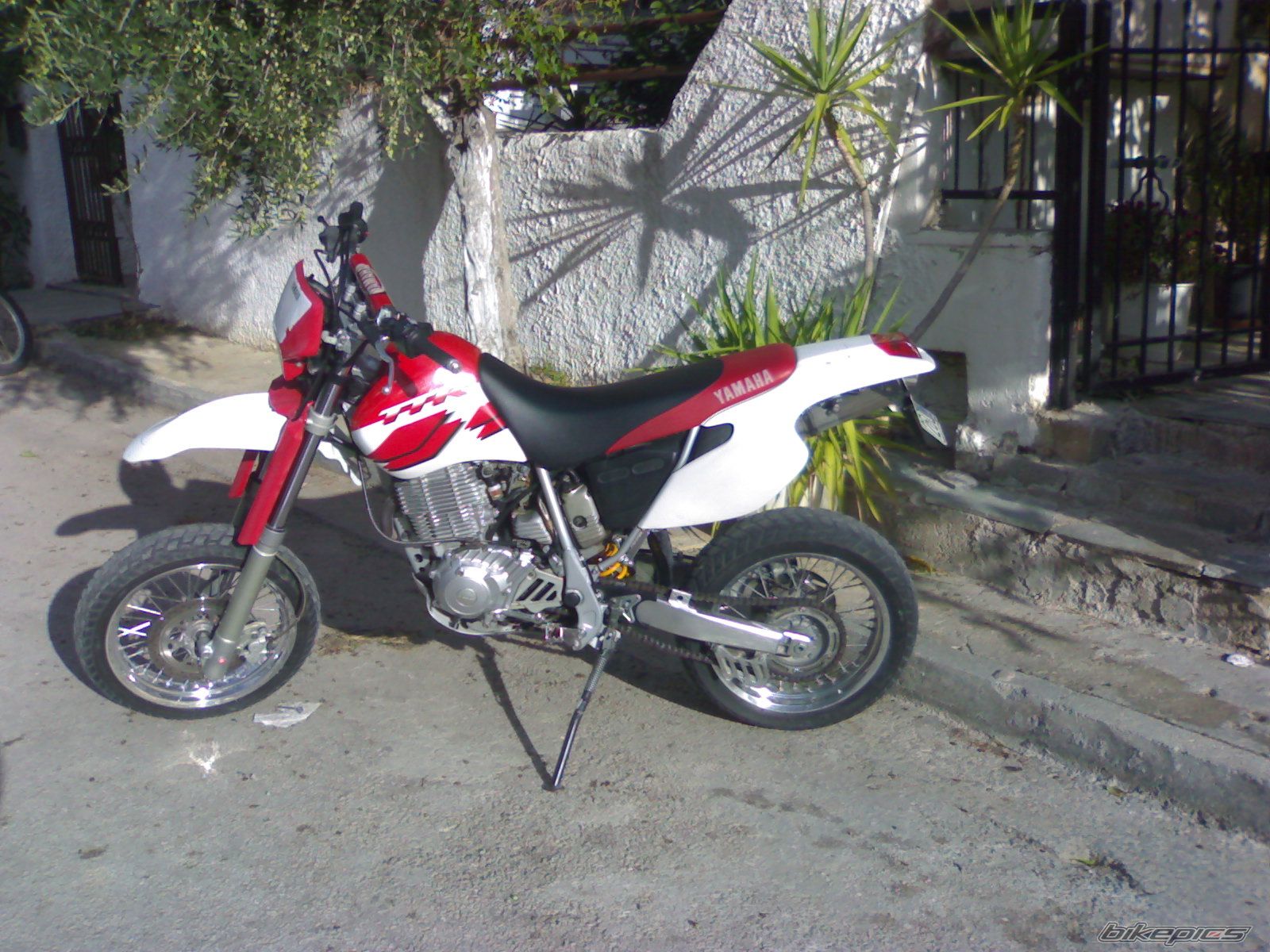 Photo 1279815