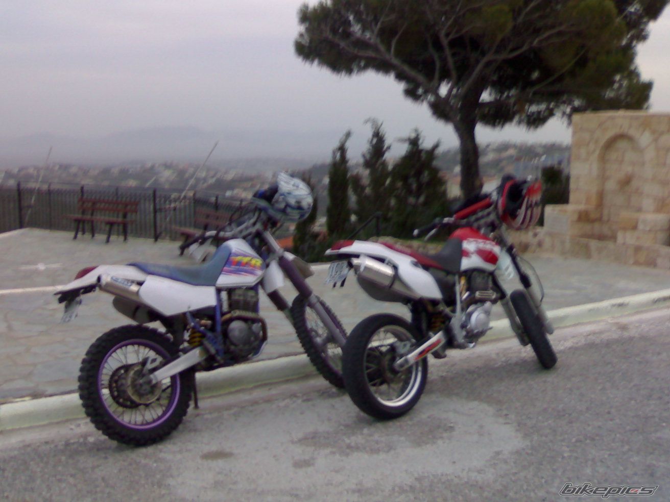 Photo 1279816