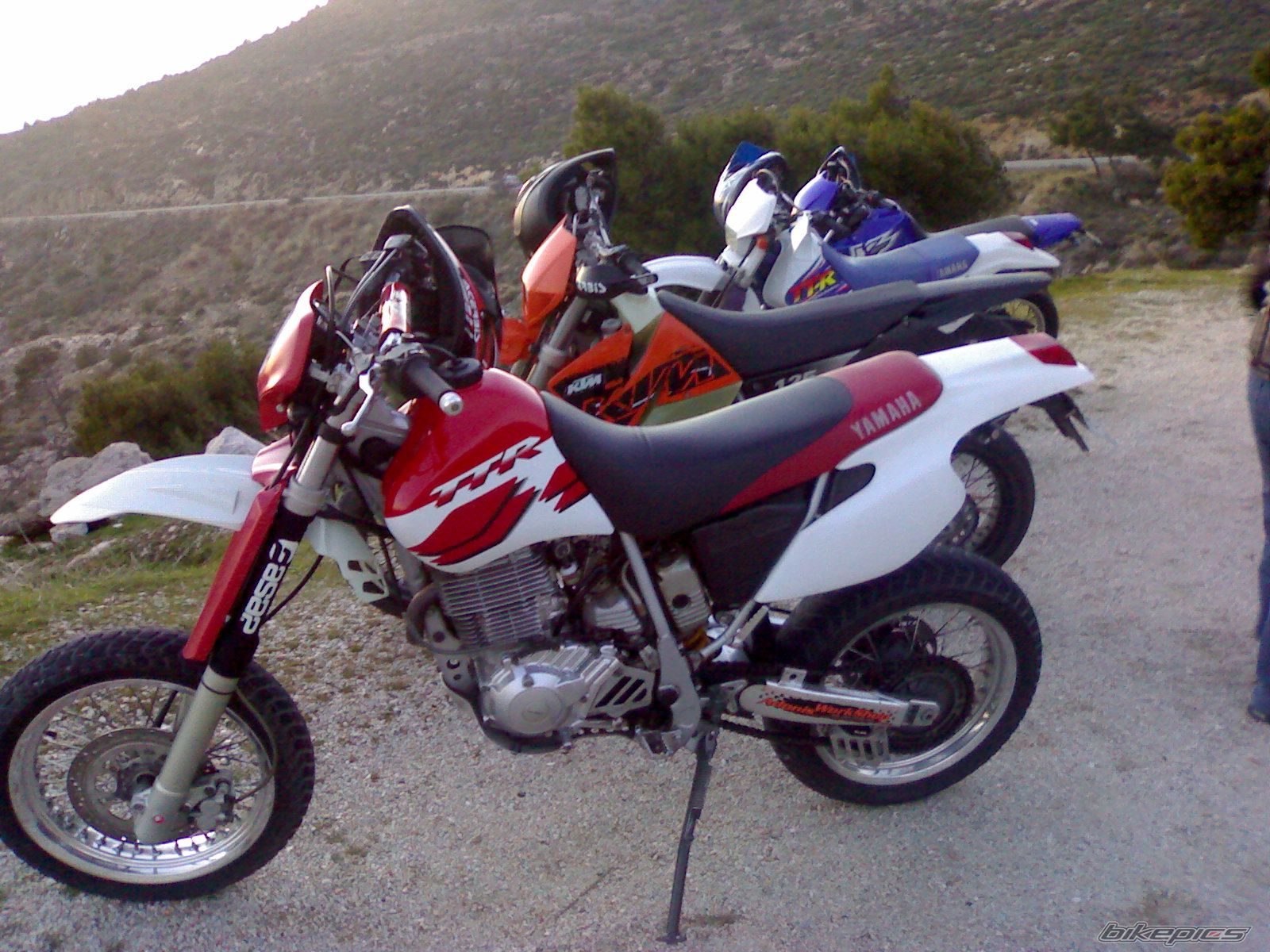 Photo 1279817