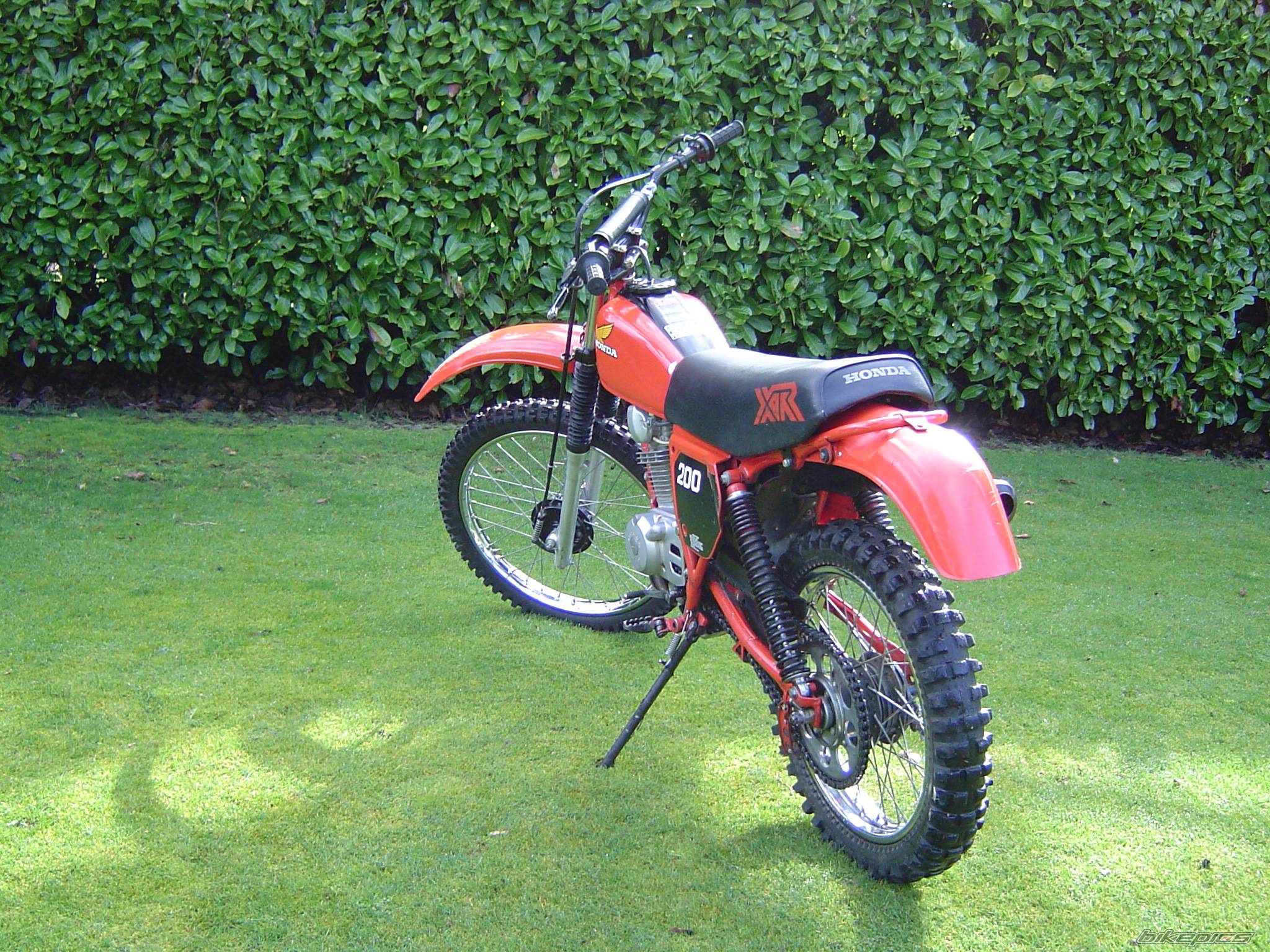 Photo 127982
