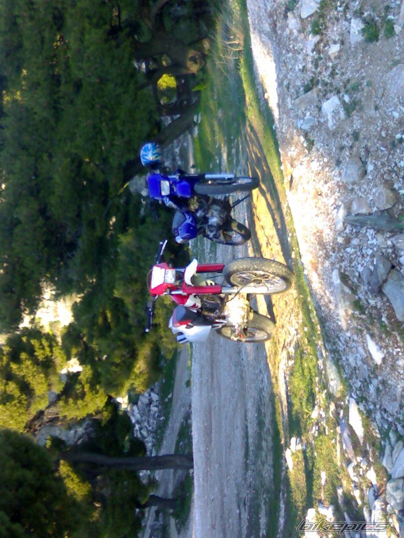 Photo 1279821