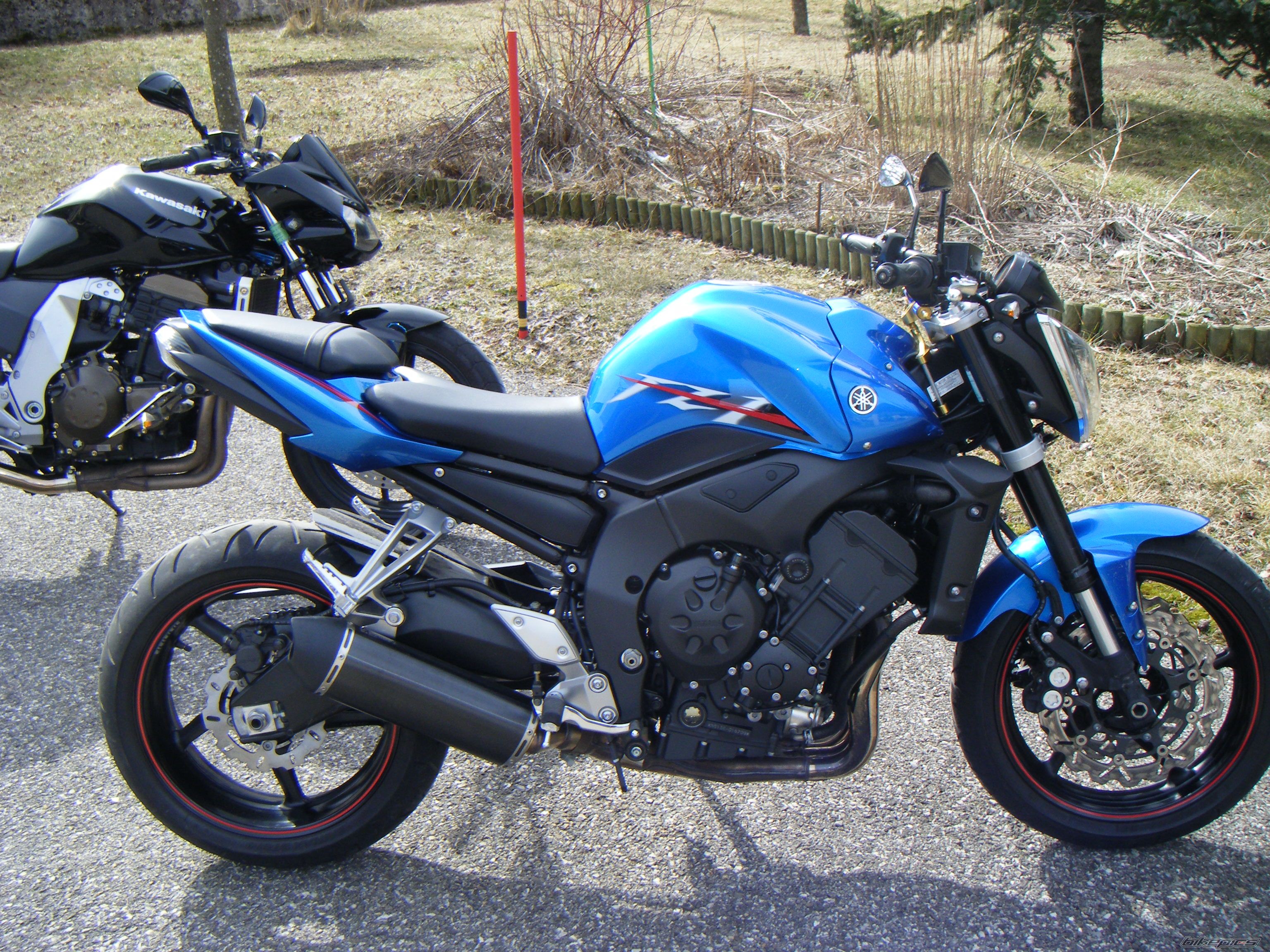 Photo 1279840