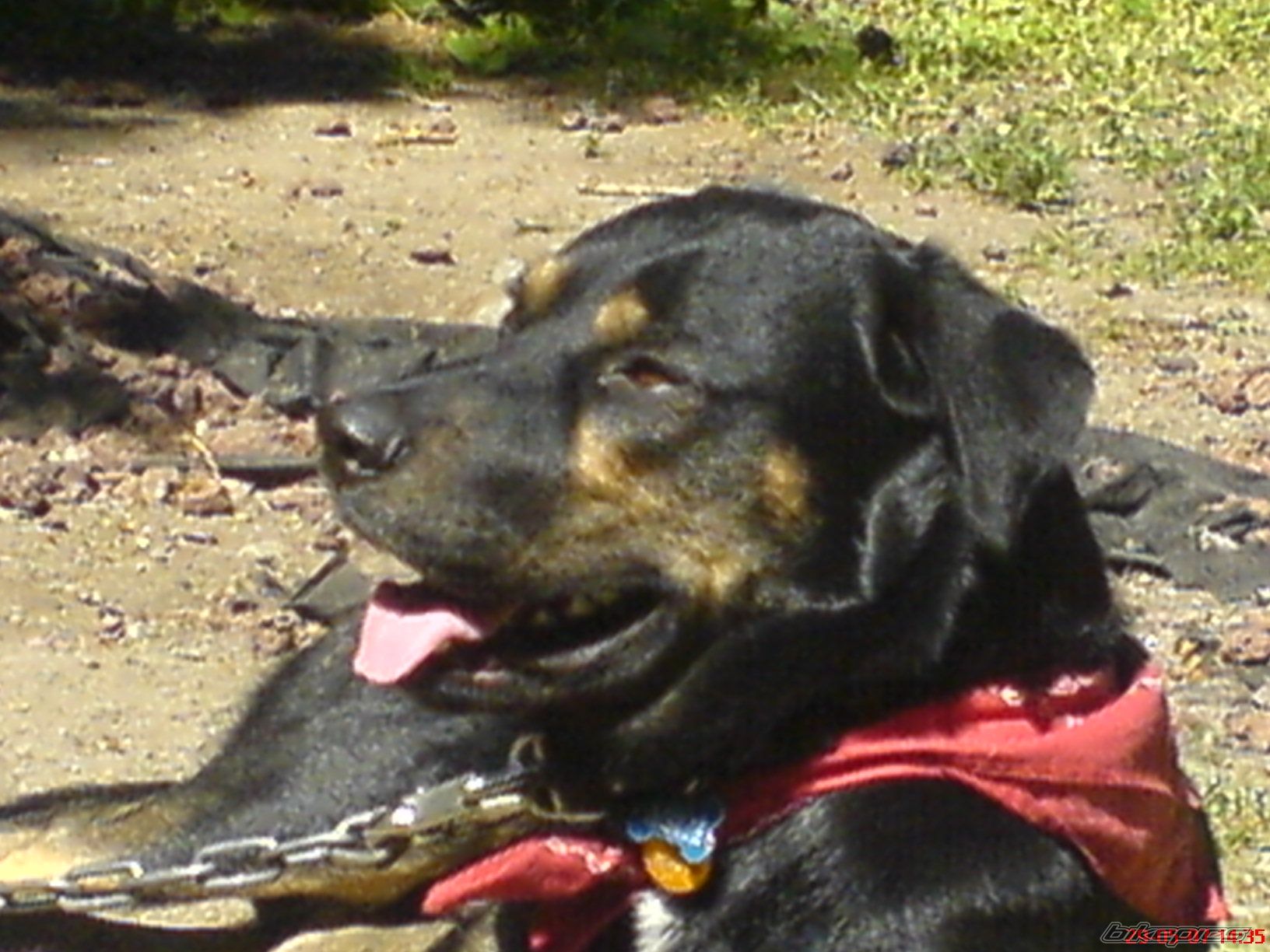 Photo 1279882