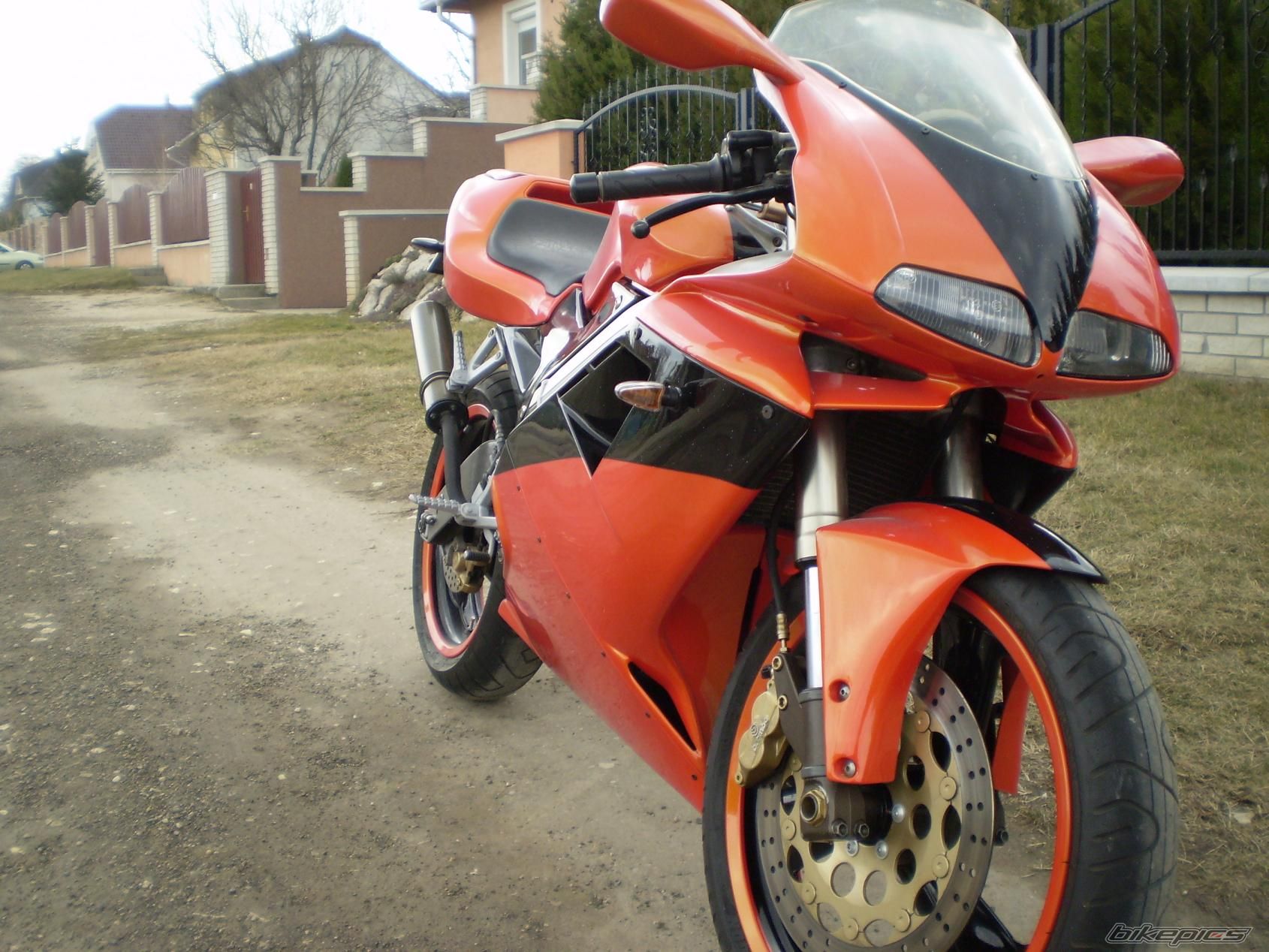 Photo 1279893