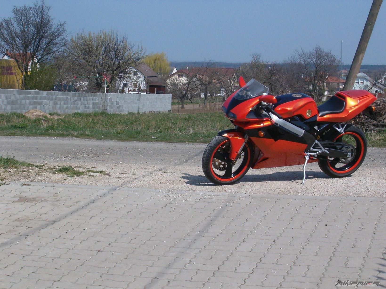 Photo 1279894