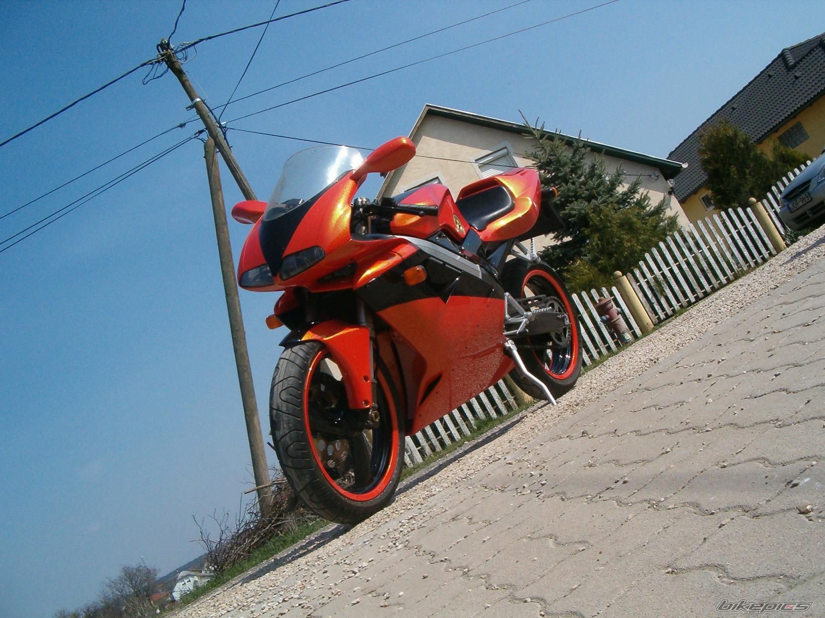 Photo 1279897