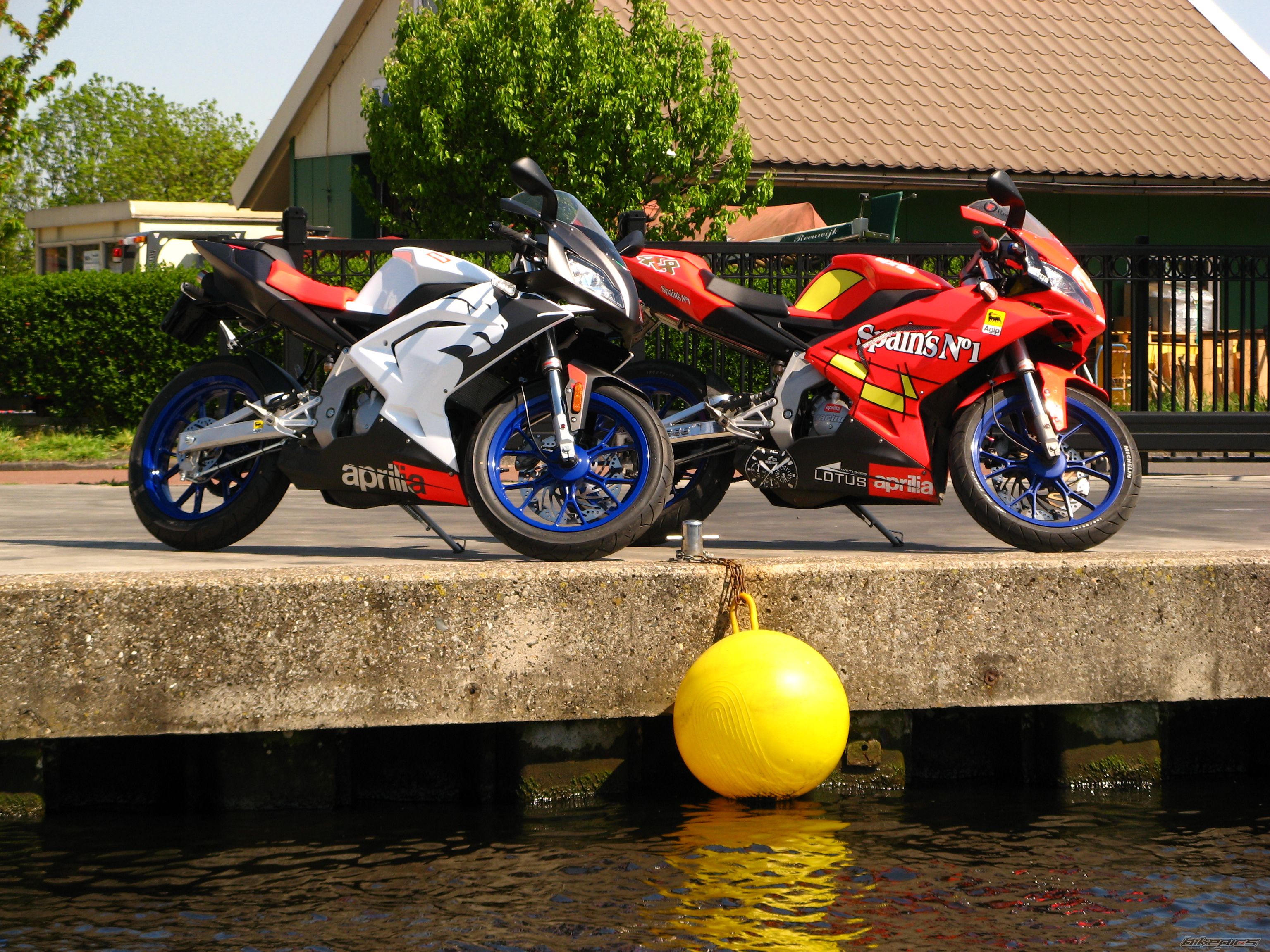Photo 1279934