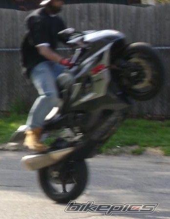 Photo 1279975