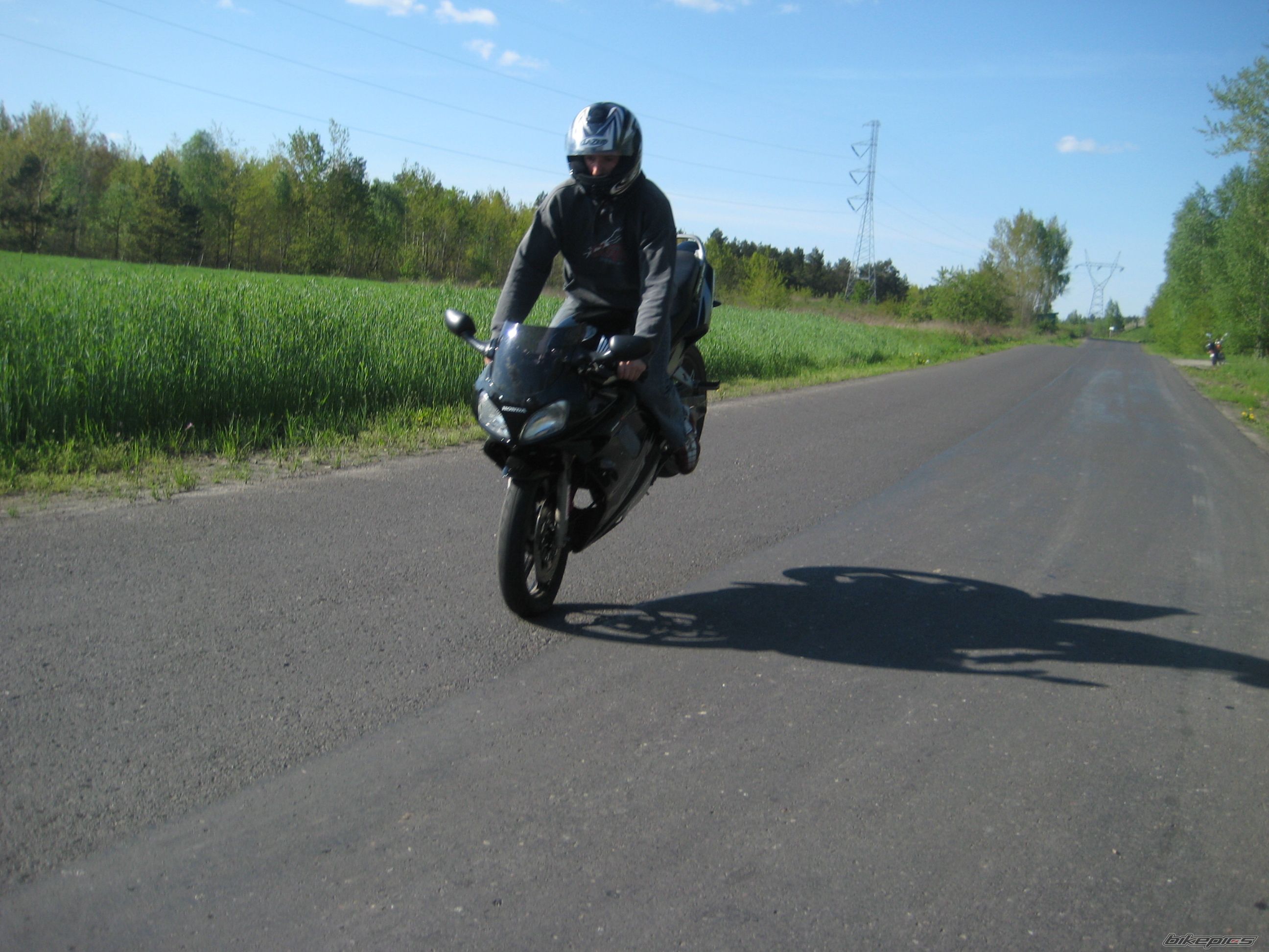 Photo 1280345