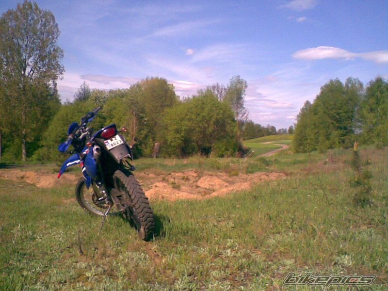 Photo 1280582