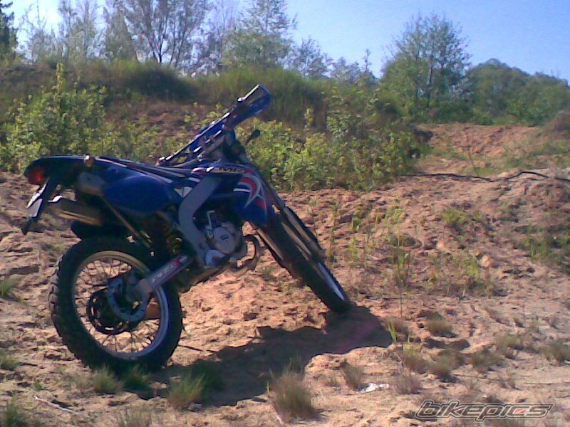Photo 1280585