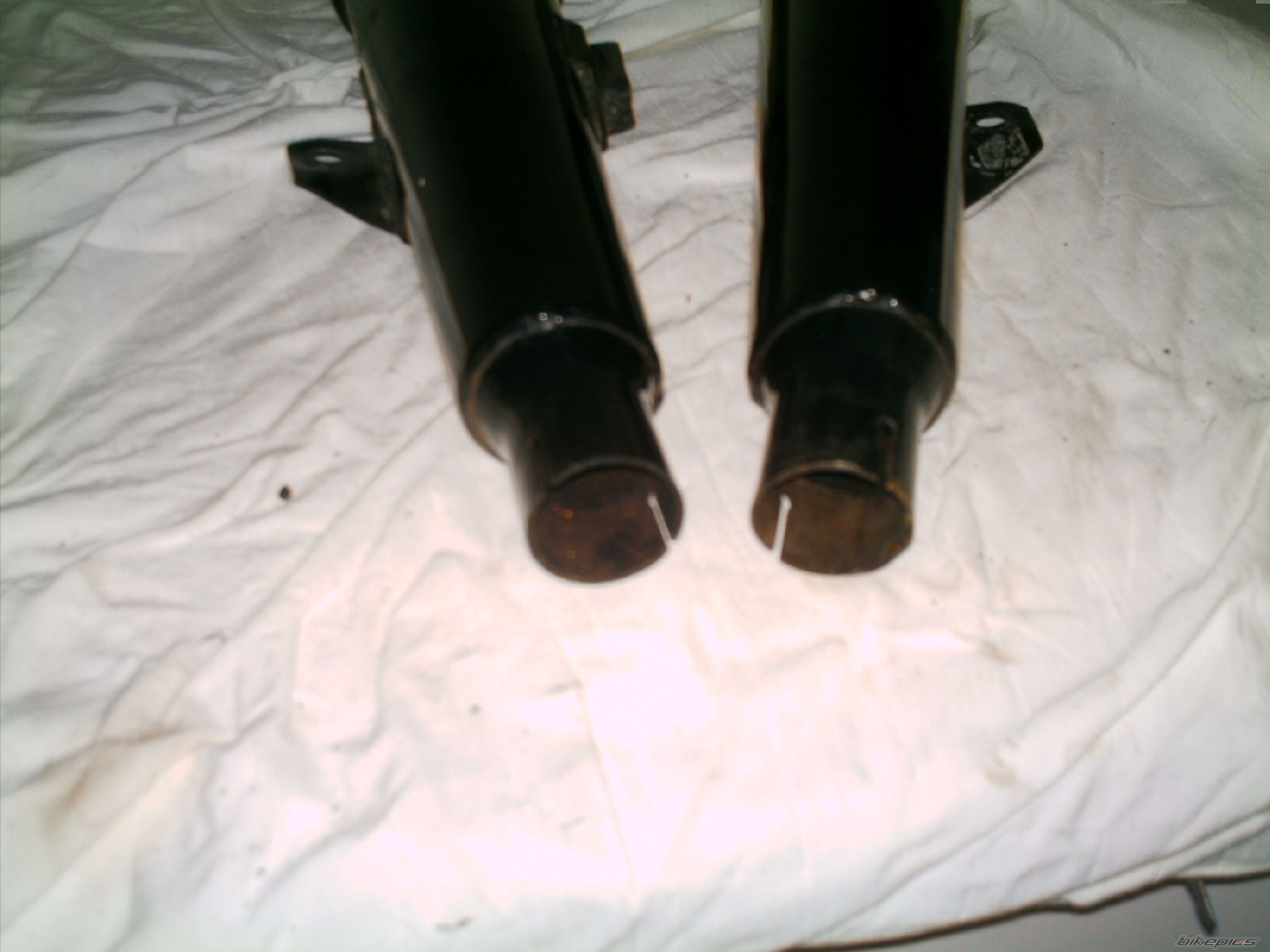 Photo 1280691