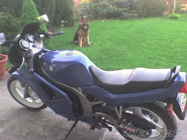 Photo 1280801