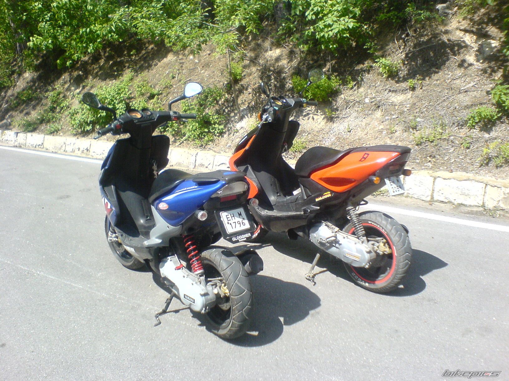 Photo 1280821