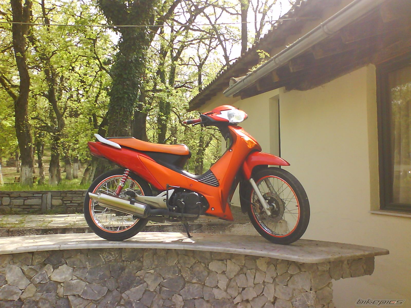 Photo 1280837
