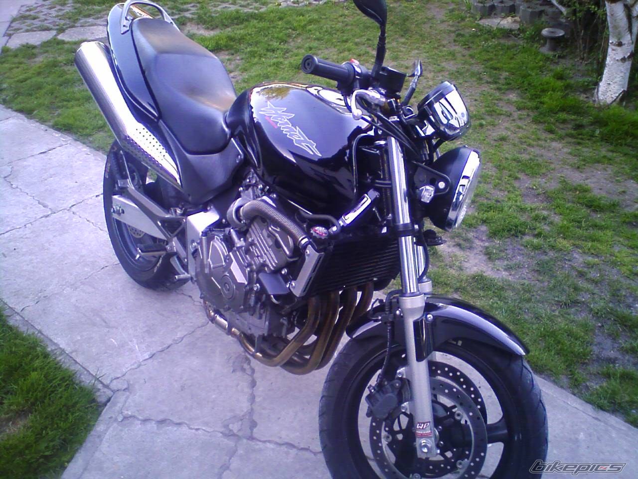 Photo 1280864
