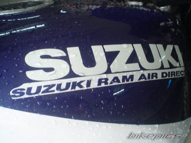 Photo 1280865