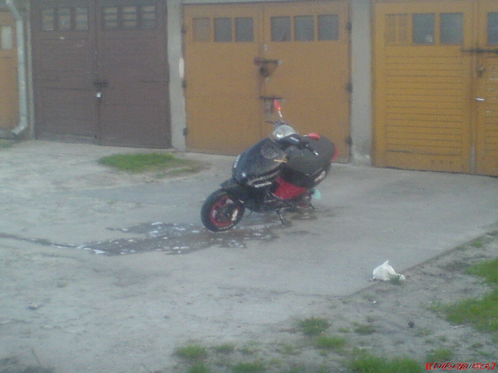 Photo 1280939