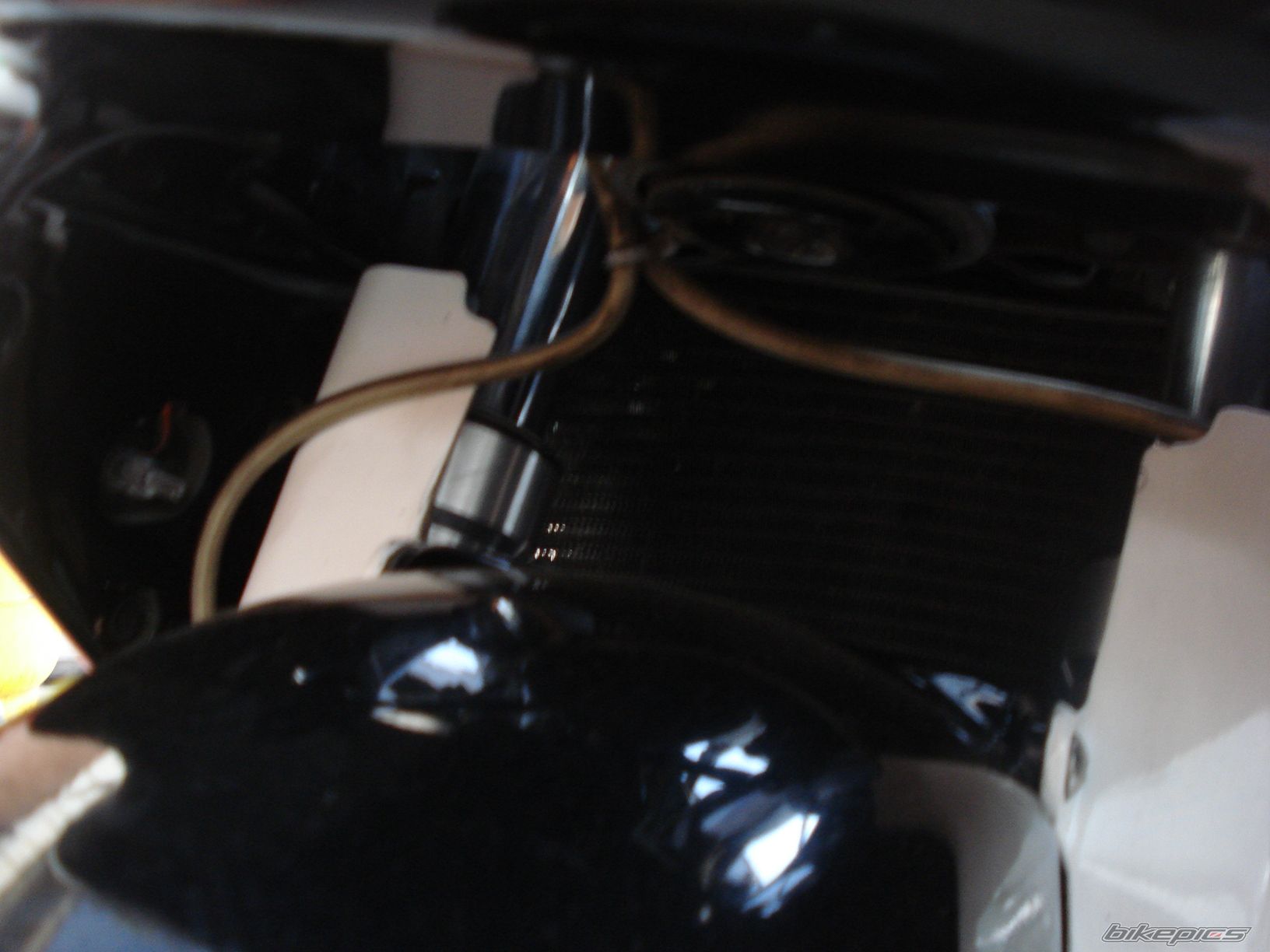 Photo 1280962