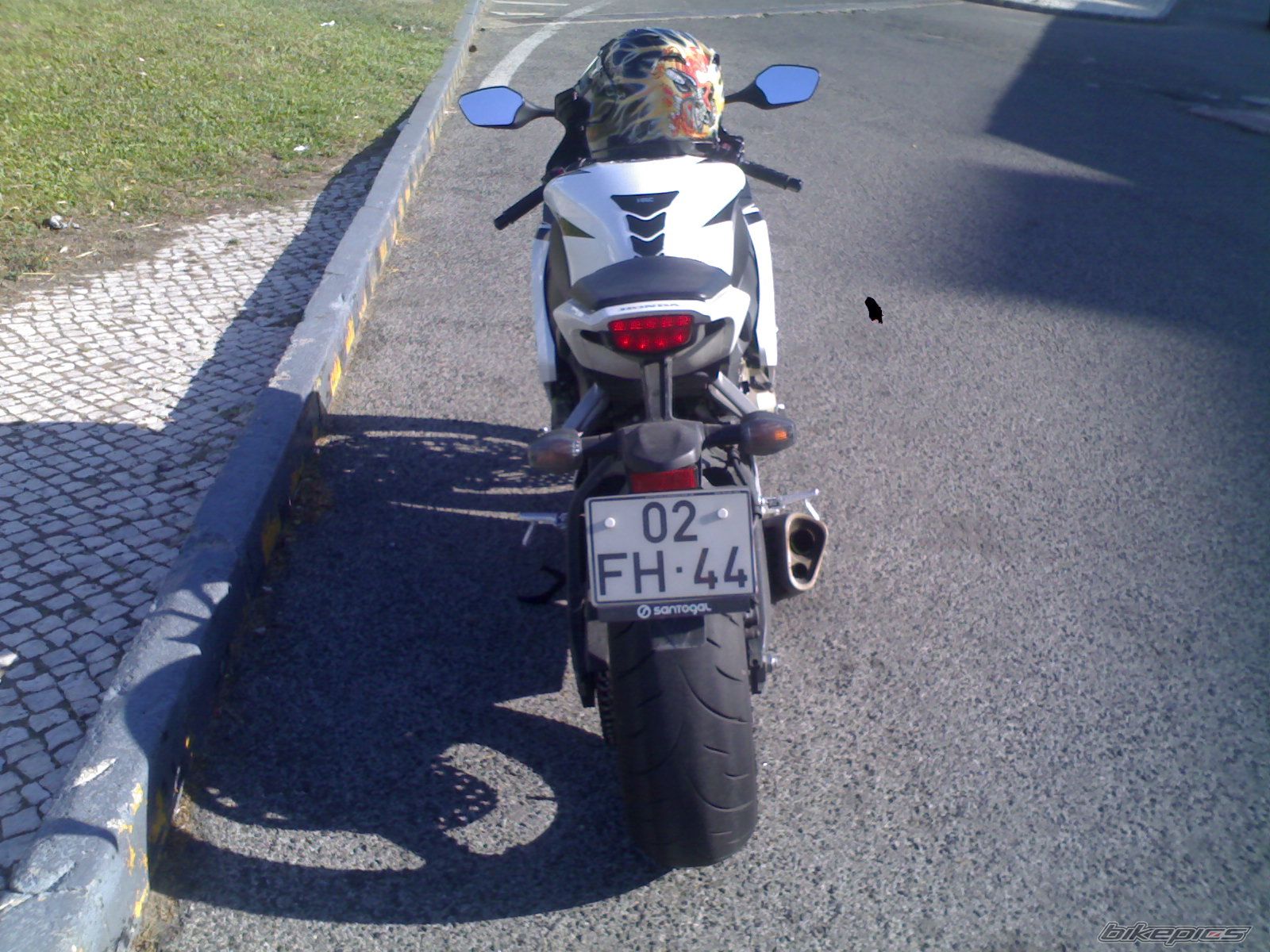 Photo 1280974