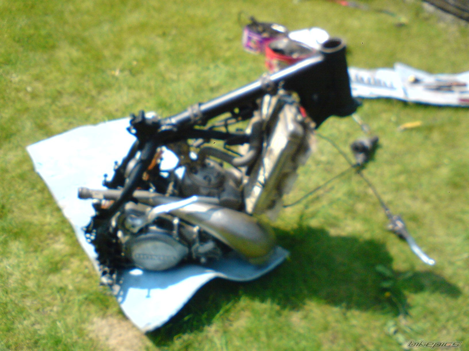 Photo 1281004
