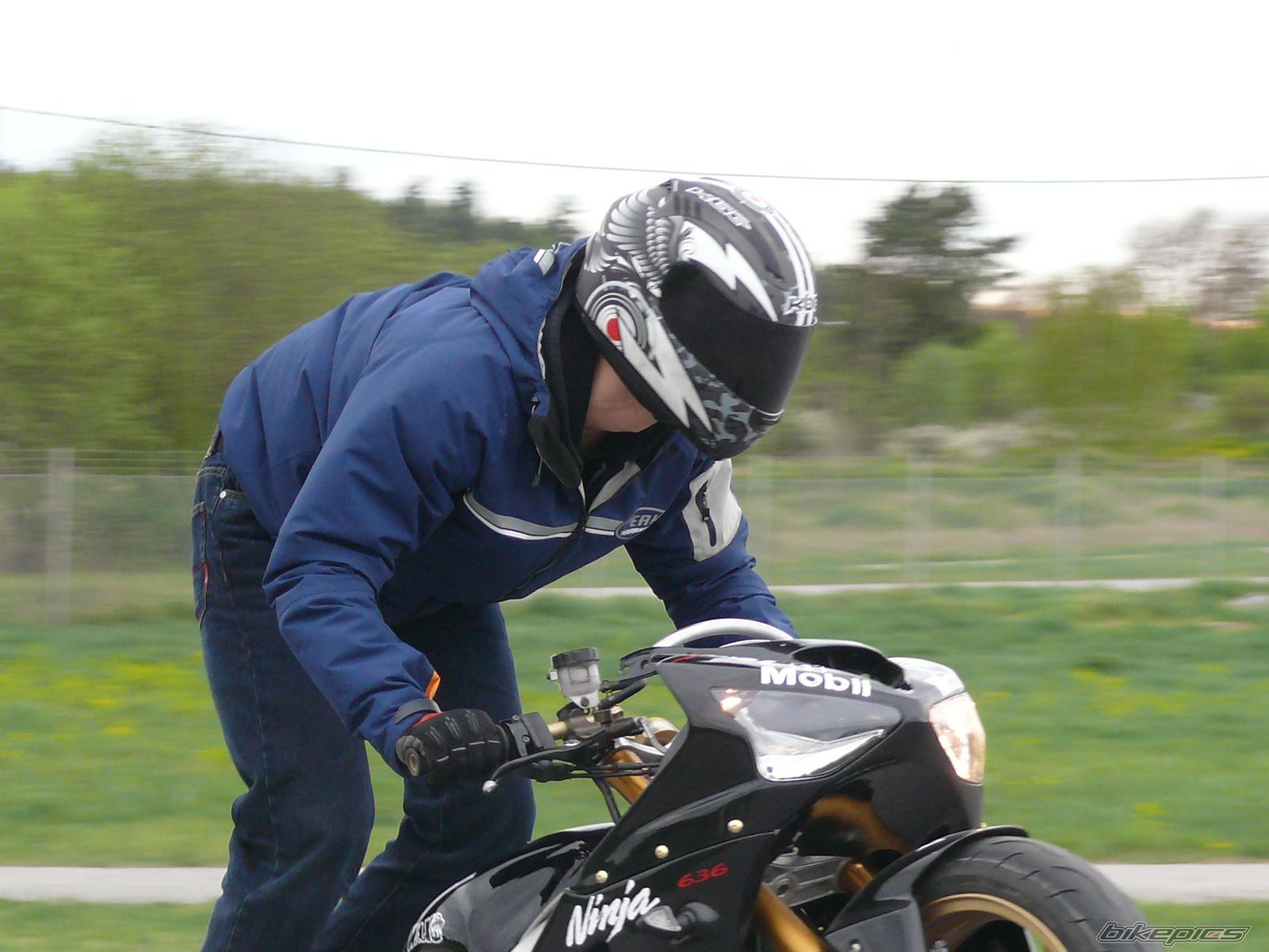 Photo 1281033