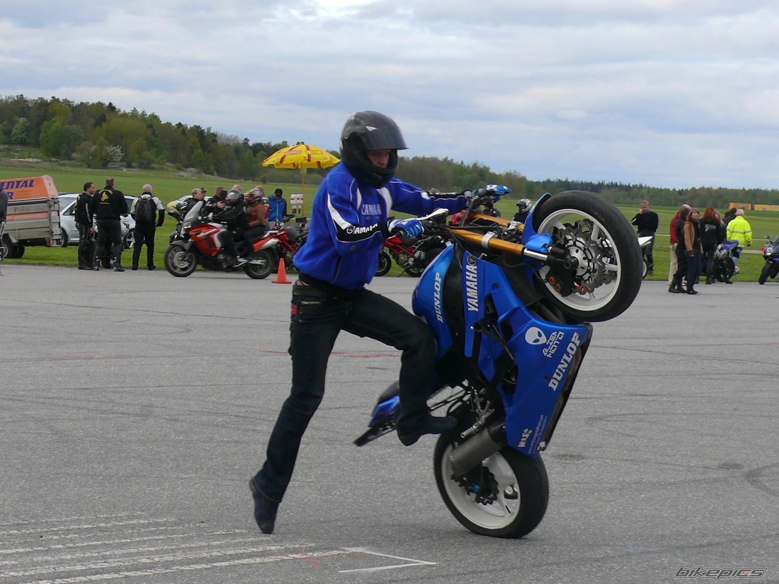Photo 1281044
