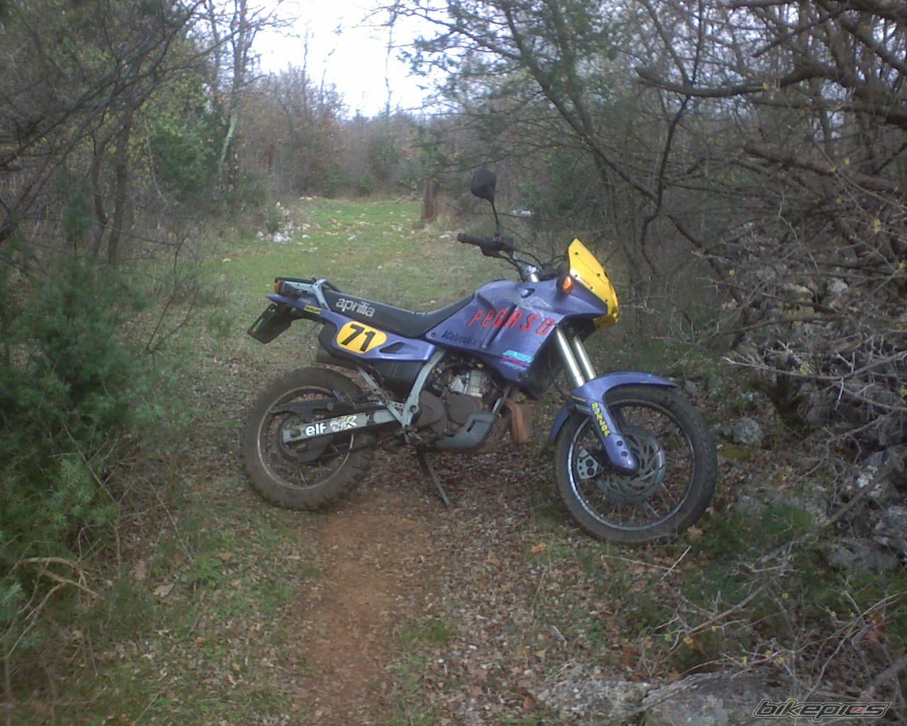 Photo 1281300