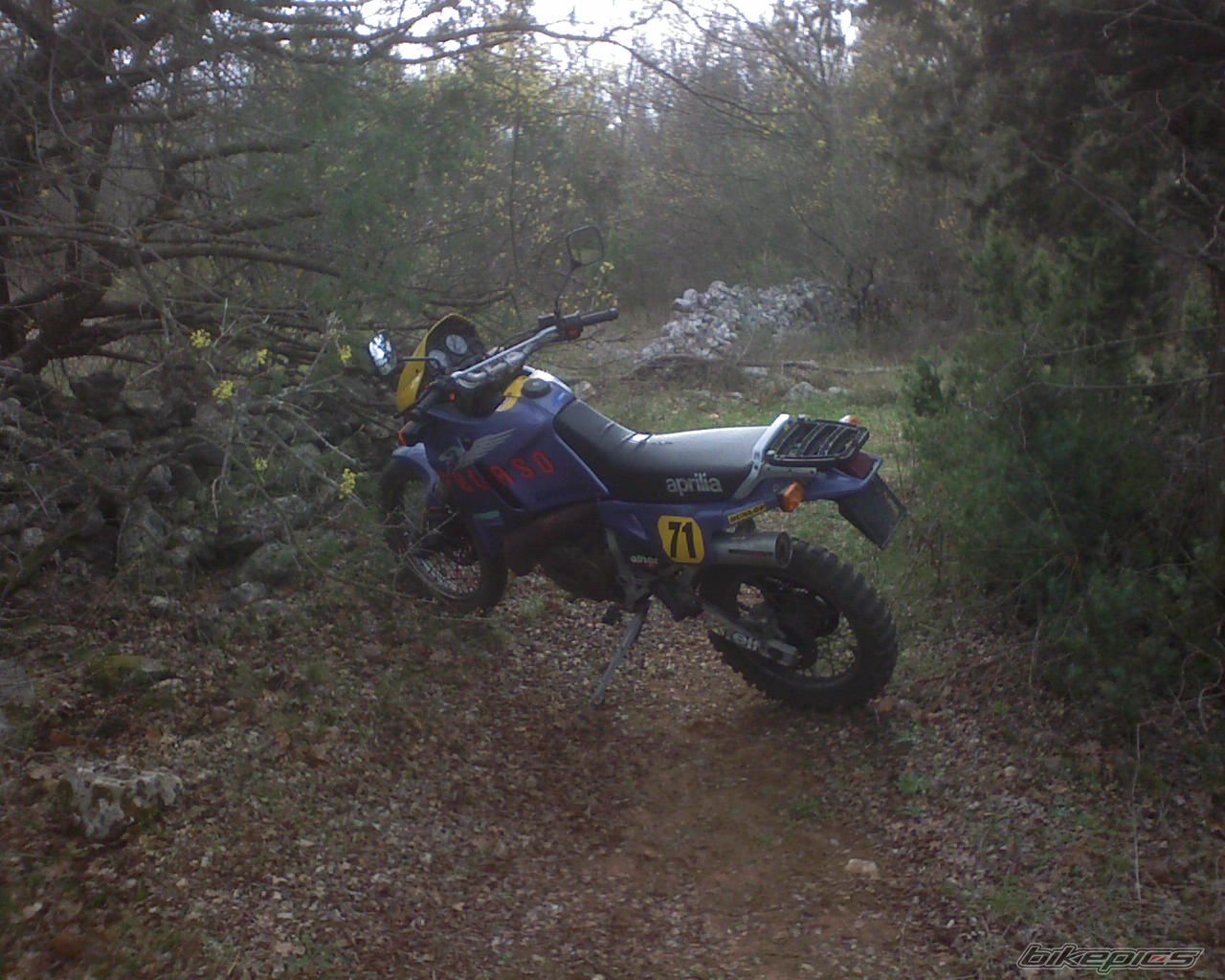 Photo 1281304