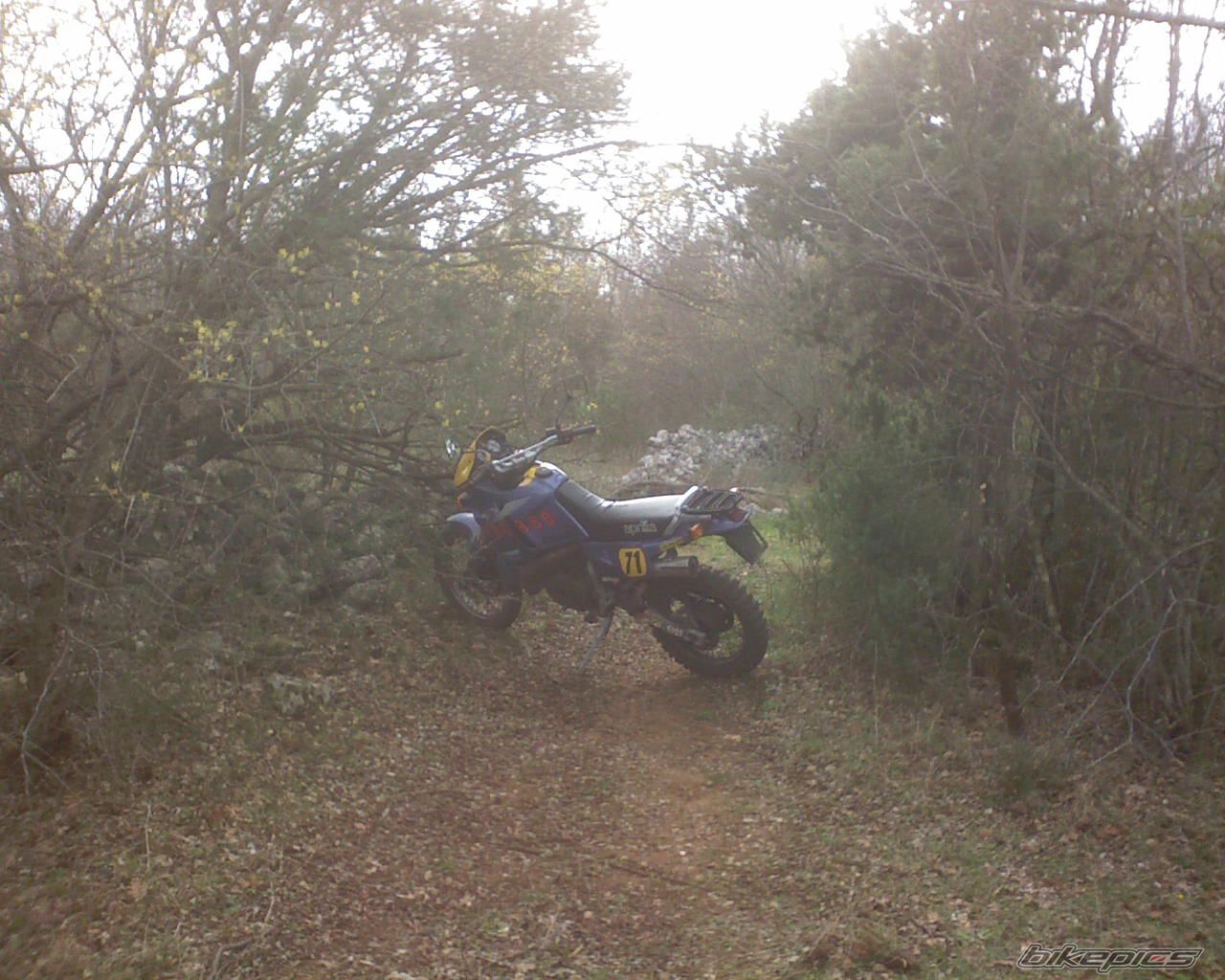 Photo 1281307