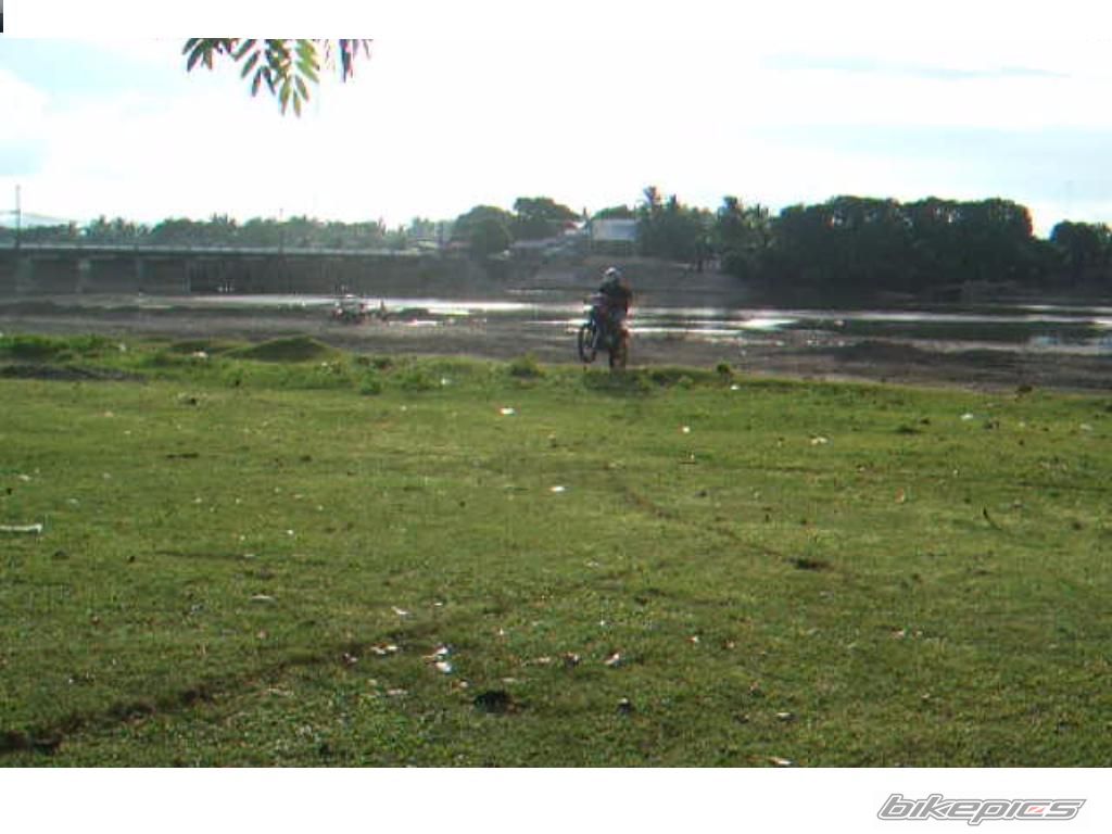 Photo 1281323