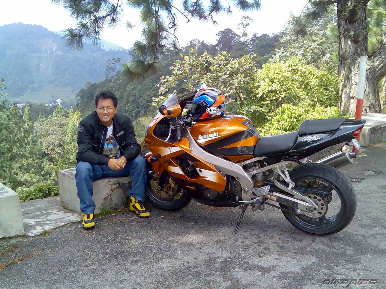 Photo 1281348