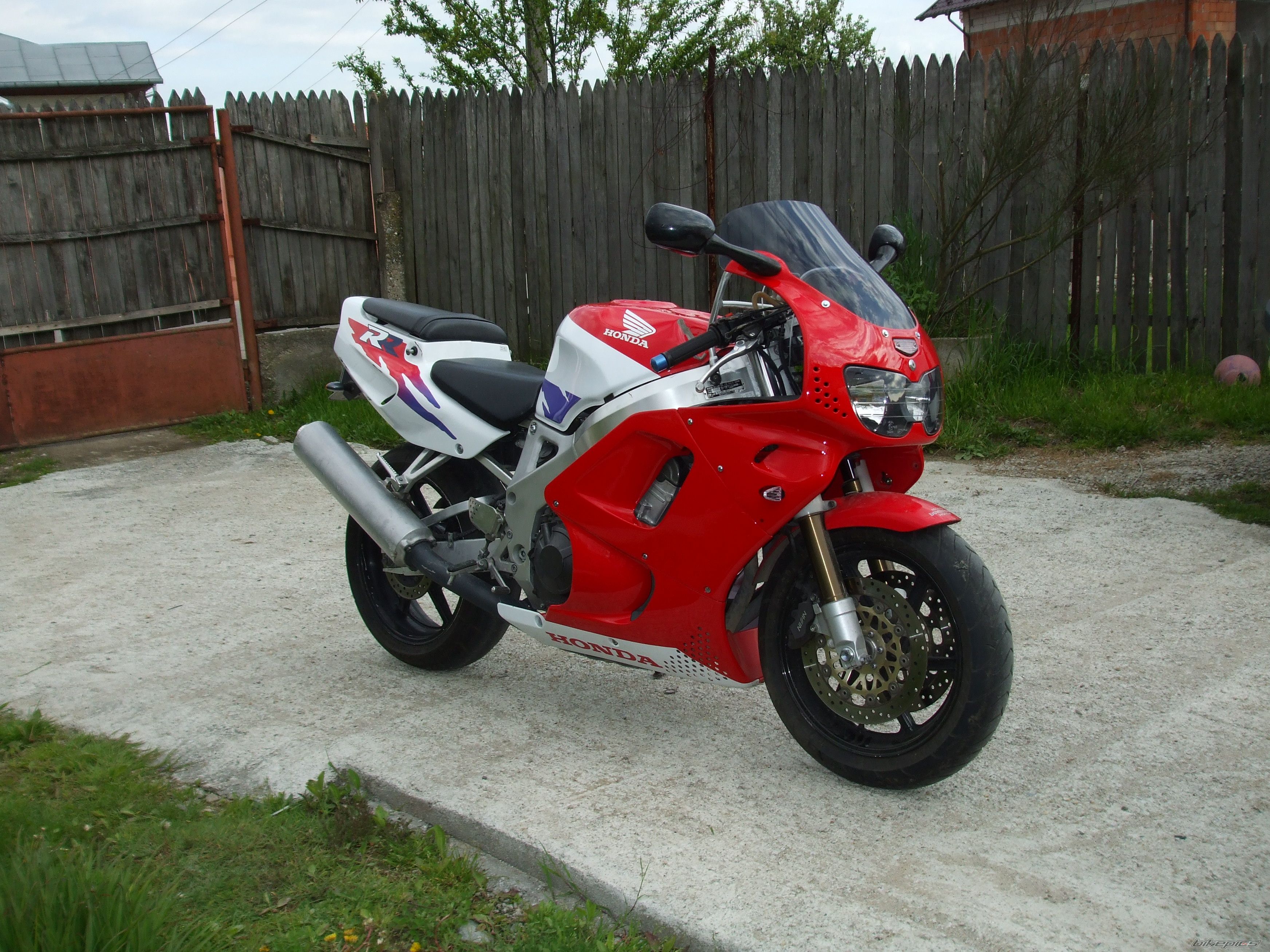 Photo 1281388